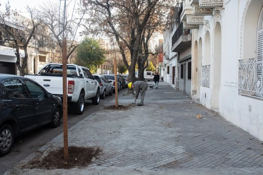 cuidadores del arbolado público-rosario-inscripción-apurainfo