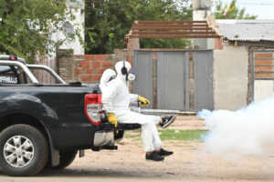 operativos de fumigación para controlar mosquitos-rosario-apurainfo