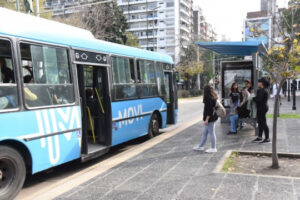 transporte público gratuito-elecciones-apurainfo