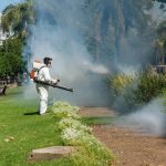 El municipio avanza con los operativos de fumigación en espacios verdes