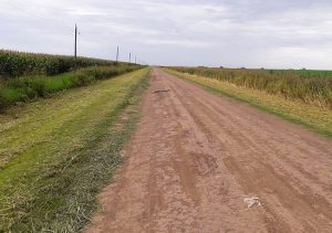 camino rural-robo tierras-apurainfo