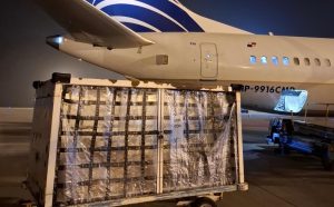 exportación de carne y pesccado-aeropuerto rosario-apurainfo