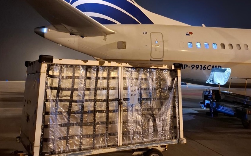 exportación de carne y pesccado-aeropuerto rosario-apurainfo