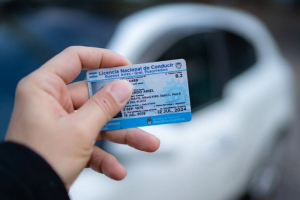 licencia