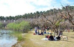 bosque de los constituyentes-rosario-vacaciones de invierno