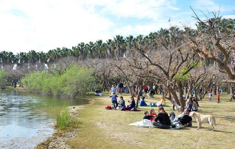 bosque de los constituyentes-rosario-vacaciones de invierno