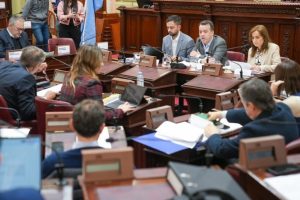 convención-redacción constitución-apurainfo