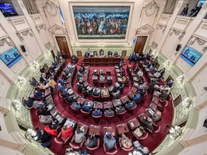 autonomía rosario-constituyente-apurainfo