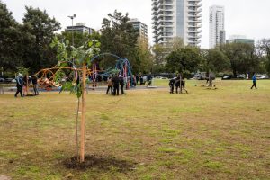 convocatoria-voluntariado-plantación de árboles-parque scalabrini-apurainfo