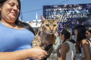 hospital animal rosario-apertura de sobres-construcción-apurainfo