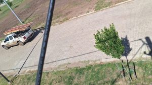 loteo coronel domínguez-enganchado-epe-apurainfo