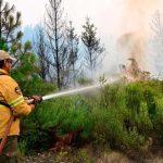 “El incendio en Puerto Patriada está contenido en un 85 por ciento”, dijo el gobernador Torres