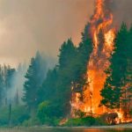 El Gobieno declaró la emergencia ígnea en cuatro provincias por los incendios en la Patagonia