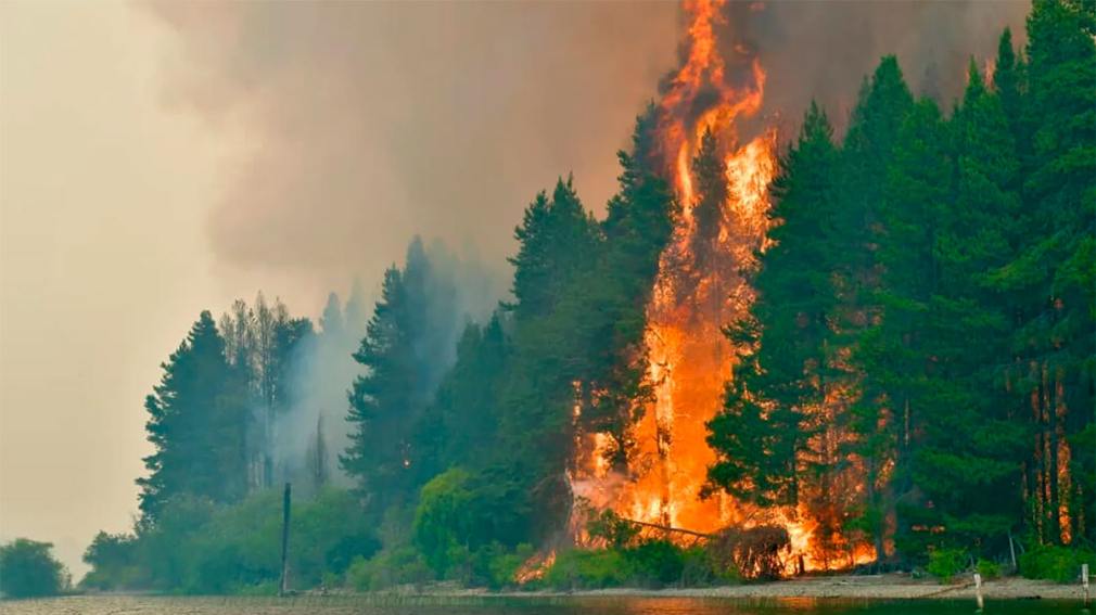 1010x567_incendios-patagonia-541911-083132