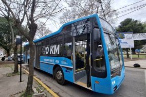 coches okm-línea 142-rosario-apurainfo