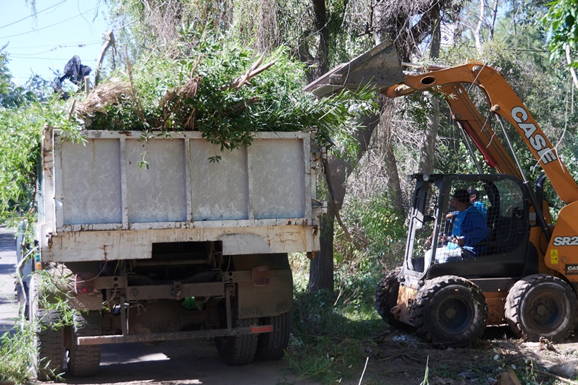 limpieza baldíos-autonomía municipal-rosario-apurainfo