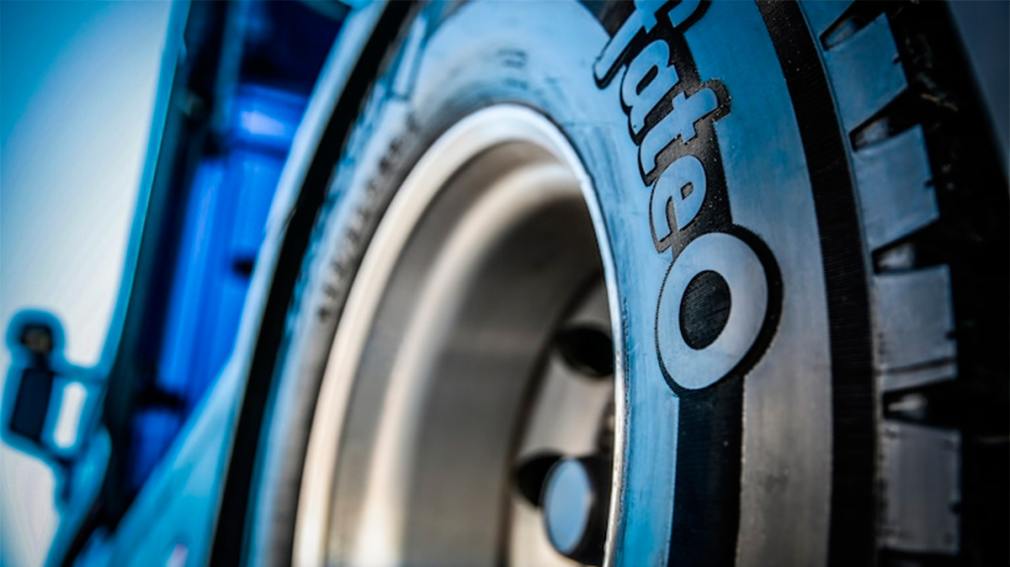 1010x567_fate-543574-065459