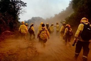 bomberos santafesinos-incendios chubut-apurainfo