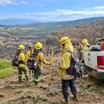Brigadistas de Santa Fe en Chubut realizan ataque directo al fuego, cortafuegos y contención de focos