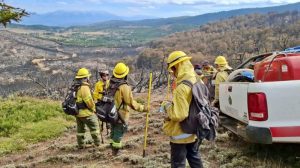 brigadistas santafesinos-vuelta a santa fe-incendios en chubut-apurainfo