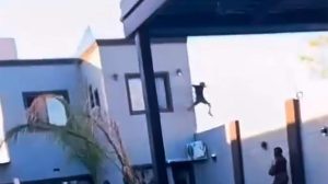 1010x567_joven-muerto-pool-party-545499-020906