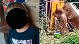 1010x567_nene-atado-546429-152403