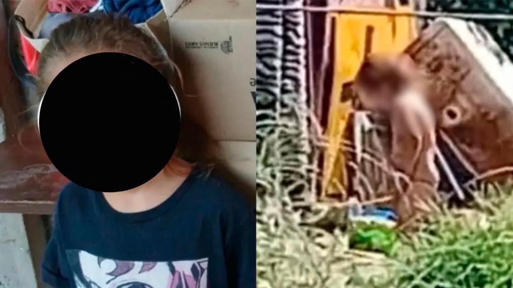 1010x567_nene-atado-546429-152403