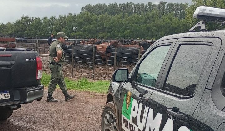 influencer del agro-ganado recuperado-apurainfo