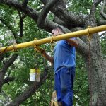 A través de nuevo operativo barrial el municipio concretó mejoras en un sector de Fisherton