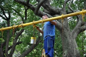 operativo barrial-fisherton-rosario-apurainfo