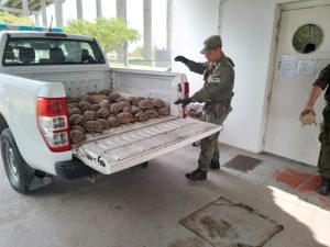 sanciones caza ilegal y delitos contra fauna-santa fe-apurainfo