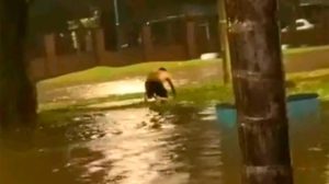 1010x567_nino-muerto-tucuman-547982-073525