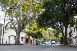 repavimentación calle caferata-apurainfo