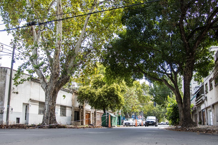 repavimentación calle caferata-apurainfo