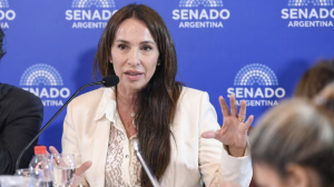 michelli-jueza-pliego-alcona mon-senado-apurainfo