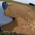 Indignación en Villa Cañás: destruyeron 12 silobolsas y arruinaron más de 2.200 toneladas de granos