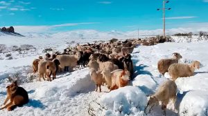 1010x567_intensas-nevadas-563248-093223