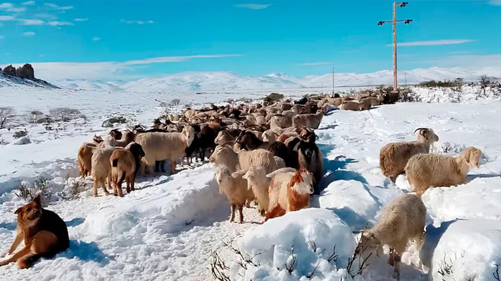 1010x567_intensas-nevadas-563248-093223
