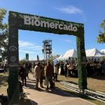 Biomercado: llega una nueva edición con propuestas especiales para las infancias