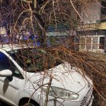 Tormentas: Protección Civil desplegó intervenciones por anegamientos, árboles y cables afectados