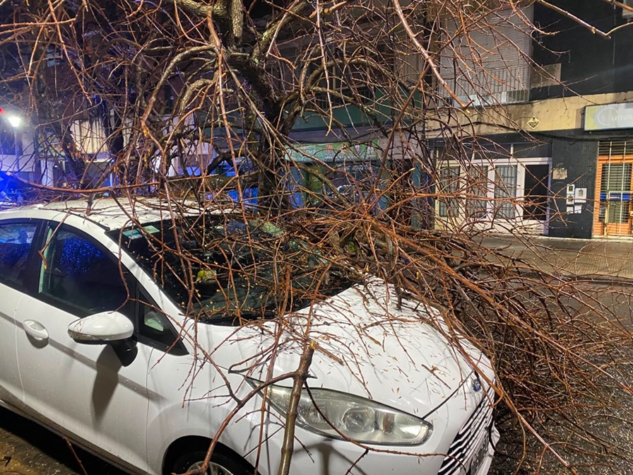 tormenta-arboles caídos-rosario-apurainfo