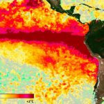 Alerta de la ONU: el fenómeno de El Niño durará hasta febrero y será “muy fuerte”