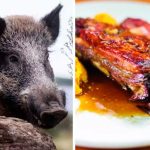 Una provincia permitirá la venta de carne de jabalí
