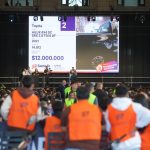 De una casa en $ 76 millones a un videojuego Arcade en $ 130.000: los lotes más llamativos vendidos en la subasta de Provincia